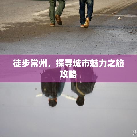 2025年5月5日 第8頁(yè)