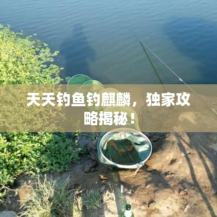 天天釣魚(yú)釣麒麟，獨(dú)家攻略揭秘！