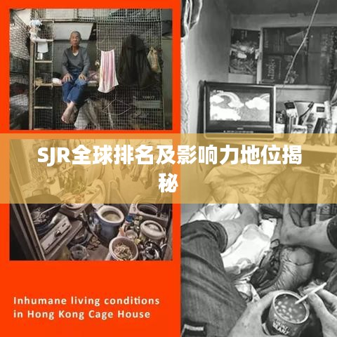 SJR全球排名及影響力地位揭秘