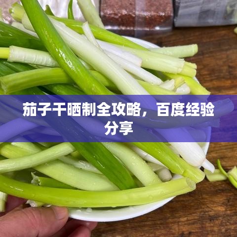 茄子干曬制全攻略，百度經(jīng)驗(yàn)分享