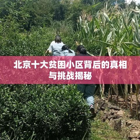 北京十大貧困小區(qū)背后的真相與挑戰(zhàn)揭秘