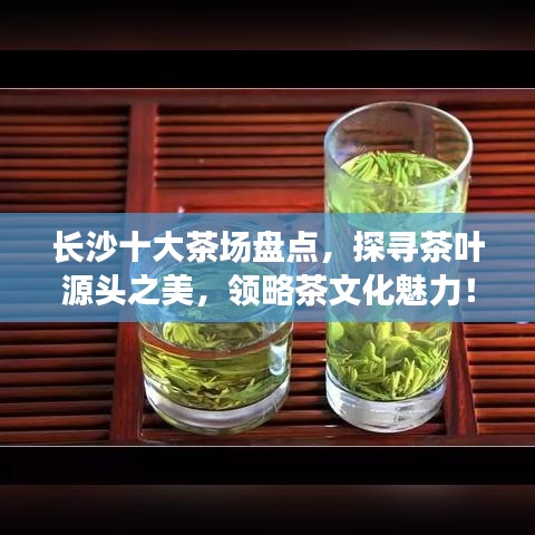長沙十大茶場(chǎng)盤點(diǎn)，探尋茶葉源頭之美，領(lǐng)略茶文化魅力！
