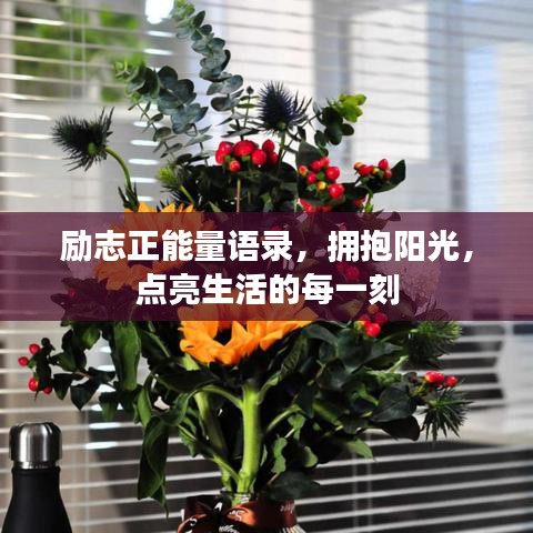 勵(lì)志正能量語(yǔ)錄，擁抱陽(yáng)光，點(diǎn)亮生活的每一刻