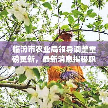 臨汾市農(nóng)業(yè)局領(lǐng)導(dǎo)調(diào)整重磅更新，最新消息揭秘職務(wù)變動