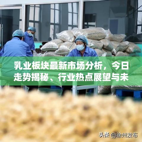 乳業(yè)板塊最新市場(chǎng)分析，今日走勢(shì)揭秘、行業(yè)熱點(diǎn)展望與未來趨勢(shì)預(yù)測(cè)