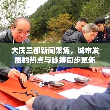 大慶三都新聞聚焦，城市發(fā)展的熱點與脈搏同步更新