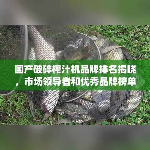 國產(chǎn)破碎榨汁機品牌排名揭曉，市場領(lǐng)導者和優(yōu)秀品牌榜單！