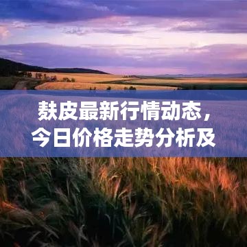 麩皮最新行情動態(tài)，今日價格走勢分析及市場趨勢預測
