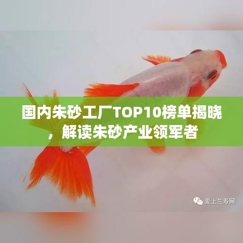 國內(nèi)朱砂工廠TOP10榜單揭曉，解讀朱砂產(chǎn)業(yè)領(lǐng)軍者