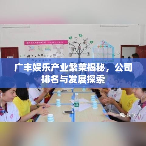 廣豐娛樂產(chǎn)業(yè)繁榮揭秘，公司排名與發(fā)展探索