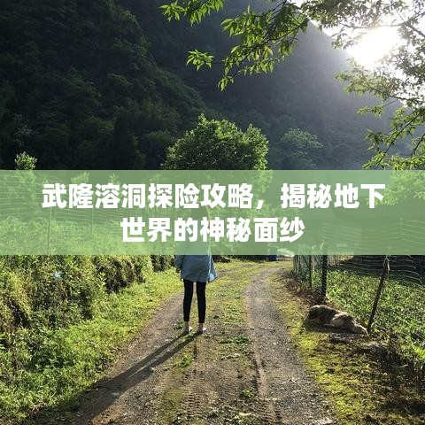 武隆溶洞探險攻略，揭秘地下世界的神秘面紗