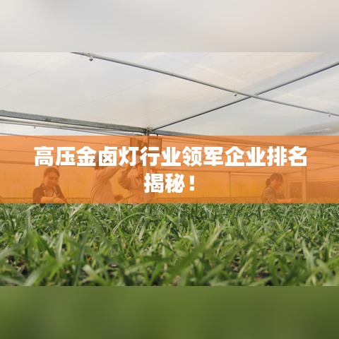 高壓金鹵燈行業(yè)領(lǐng)軍企業(yè)排名揭秘！