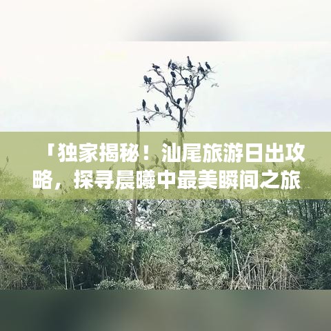 一花獨放 第2頁