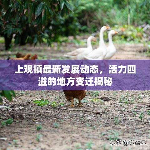 上觀鎮(zhèn)最新發(fā)展動態(tài)，活力四溢的地方變遷揭秘