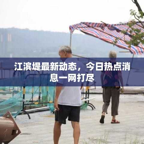 江濱堤最新動態(tài)，今日熱點消息一網(wǎng)打盡