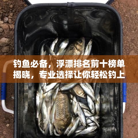 釣魚必備，浮漂排名前十榜單揭曉，專業(yè)選擇讓你輕松釣上大魚！