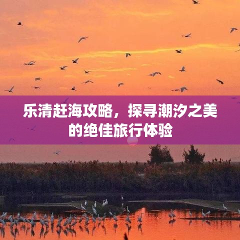 樂清趕海攻略，探尋潮汐之美的絕佳旅行體驗