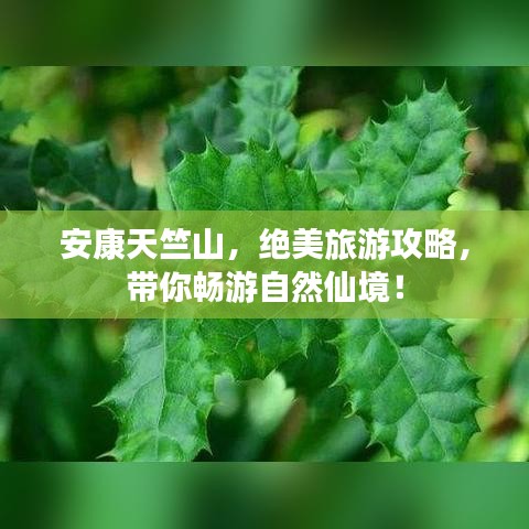 2025年5月6日 第2頁