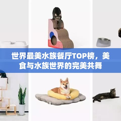 世界最美水族餐廳TOP榜，美食與水族世界的完美共舞