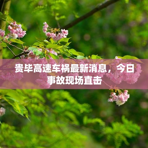 貴畢高速車(chē)禍最新消息，今日事故現(xiàn)場(chǎng)直擊