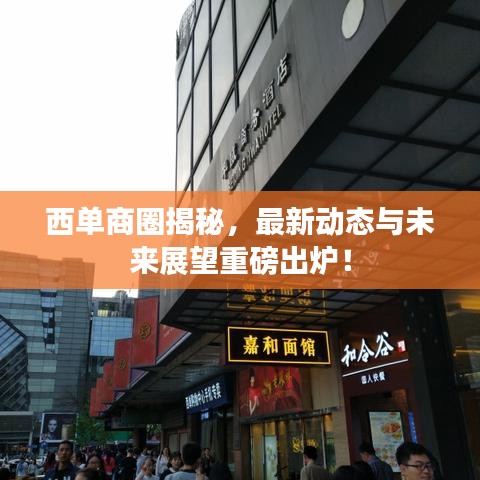 西單商圈揭秘，最新動態(tài)與未來展望重磅出爐！