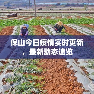 保山今日疫情實時更新，最新動態(tài)速覽