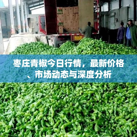 棗莊青椒今日行情，最新價格、市場動態(tài)與深度分析