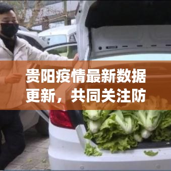 貴陽疫情最新數(shù)據(jù)更新，共同關(guān)注防控進(jìn)展