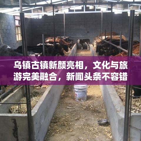 烏鎮(zhèn)古鎮(zhèn)新顏亮相，文化與旅游完美融合，新聞頭條不容錯過