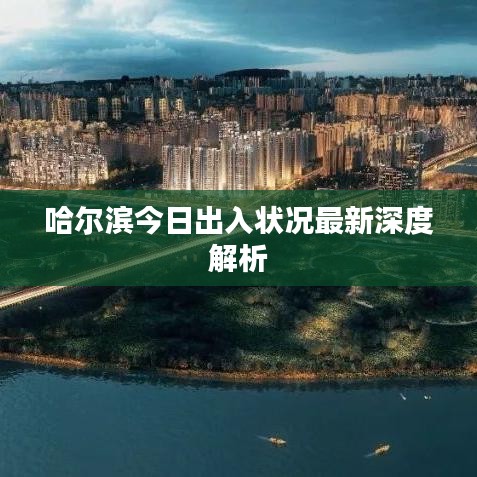 哈爾濱今日出入狀況最新深度解析