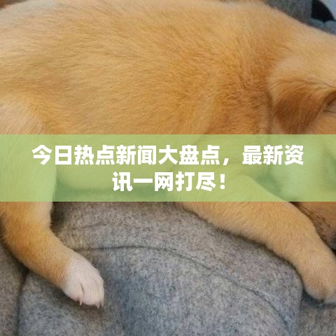 今日熱點(diǎn)新聞大盤(pán)點(diǎn)，最新資訊一網(wǎng)打盡！