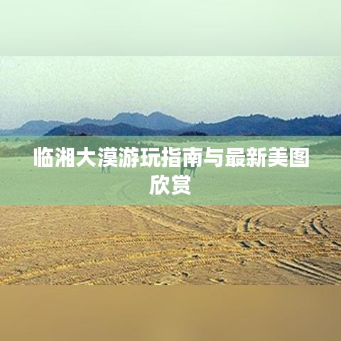 臨湘大漠游玩指南與最新美圖欣賞