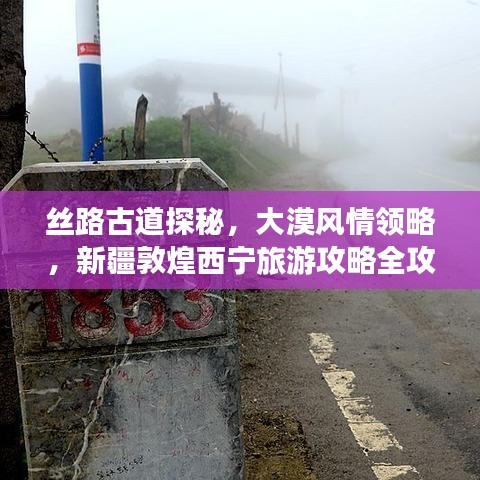 絲路古道探秘，大漠風(fēng)情領(lǐng)略，新疆敦煌西寧旅游攻略全攻略