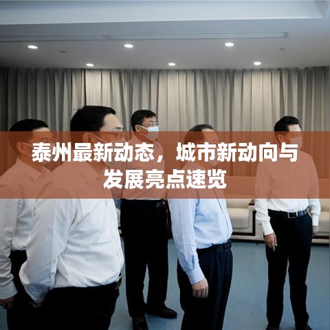 泰州最新動態(tài)，城市新動向與發(fā)展亮點速覽