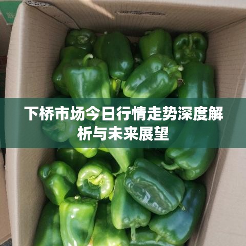 下橋市場(chǎng)今日行情走勢(shì)深度解析與未來展望
