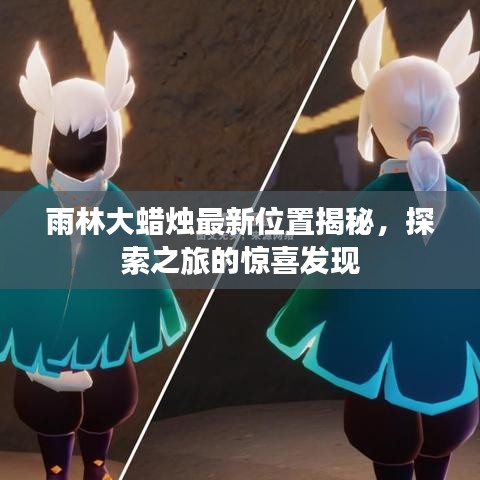 雨林大蠟燭最新位置揭秘，探索之旅的驚喜發(fā)現(xiàn)