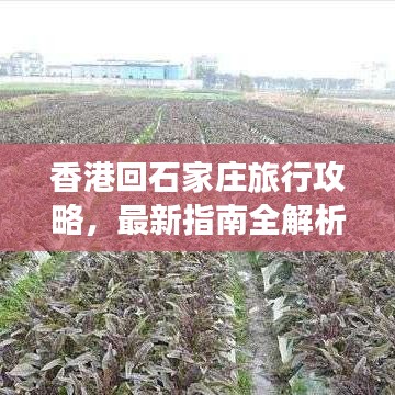 香港回石家莊旅行攻略，最新指南全解析