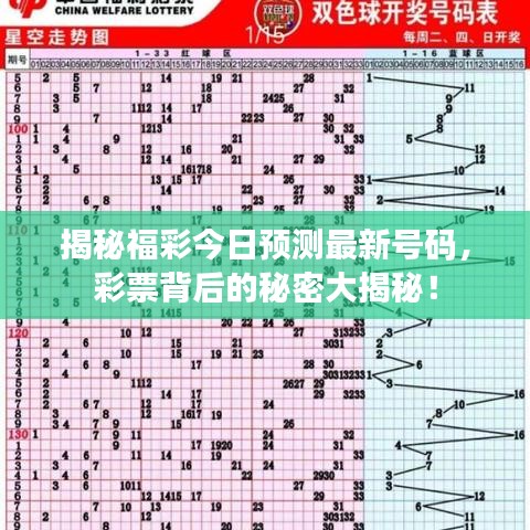 揭秘福彩今日預測最新號碼，彩票背后的秘密大揭秘！