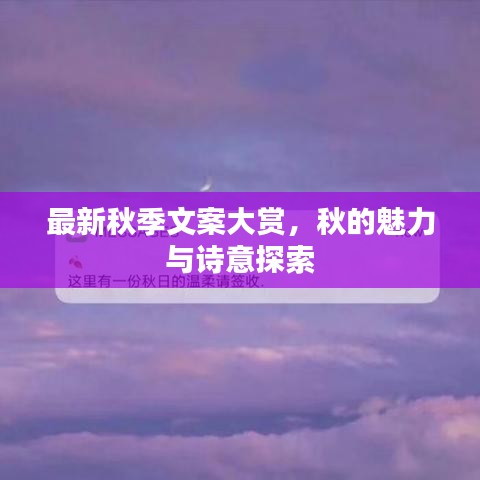 最新秋季文案大賞，秋的魅力與詩意探索