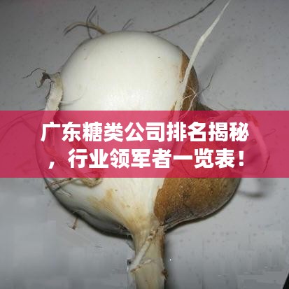 廣東糖類公司排名揭秘，行業(yè)領(lǐng)軍者一覽表！