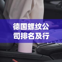 德國螺紋公司排名及行業(yè)影響力剖析