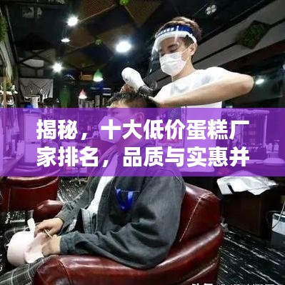 揭秘，十大低價(jià)蛋糕廠家排名，品質(zhì)與實(shí)惠并存的選擇！