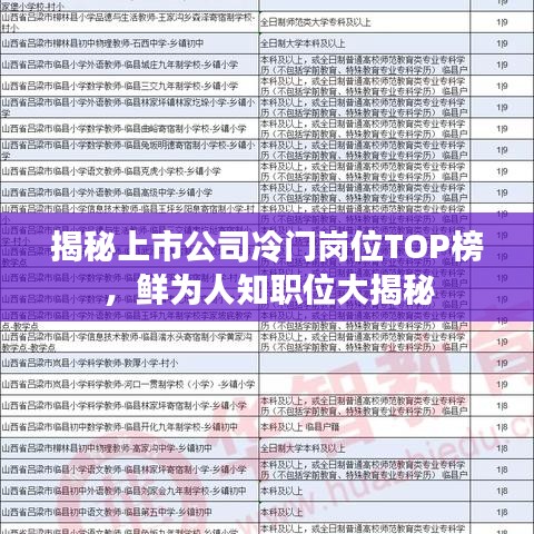 揭秘上市公司冷門崗位TOP榜，鮮為人知職位大揭秘