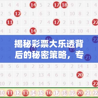 揭秘彩票大樂透背后的秘密策略，專家最新推薦，助你贏取大獎(jiǎng)！
