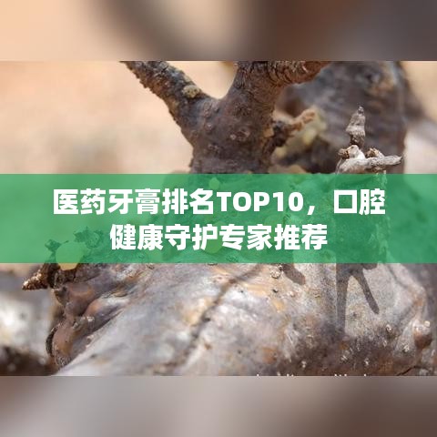 醫(yī)藥牙膏排名TOP10，口腔健康守護(hù)專家推薦