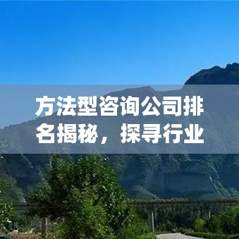 方法型咨詢公司排名揭秘，探尋行業(yè)領(lǐng)袖成功的秘訣！