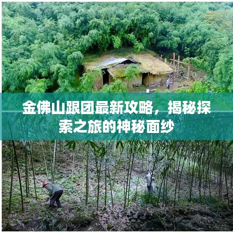 金佛山跟團最新攻略，揭秘探索之旅的神秘面紗