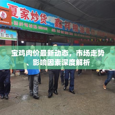 寶雞肉價最新動態(tài)，市場走勢、影響因素深度解析