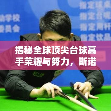 揭秘全球頂尖臺球高手榮耀與努力，斯諾克世界排名全解析