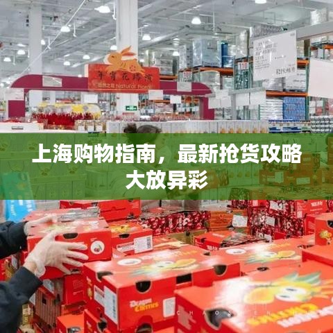 上海購(gòu)物指南，最新?lián)屫浌ヂ源蠓女惒? width=